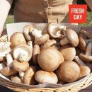 태석농장 이미지