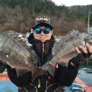 피싱랜드 이미지