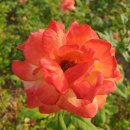 용답역 1번출구 이미지