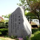 이화우 이미지