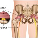리네아필라테스