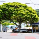 심포 버스정류장 이미지