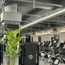 파동헬스 이미지