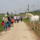 도마산초등학교 이미지