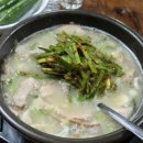 부산 돼지국밥 맛집 투어 EP.17 부산진구 늘해랑국밥 (돼지국밥에서 닭국수 느낌이!?)