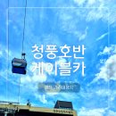 제천 가족여행지 청풍호반케이블카 주차 이용요금 할인 평일 현장 예약 탑승 후기