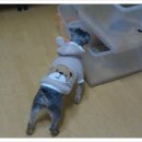 뽀스락뽀스락 이미지