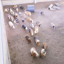 여주-1126 이미지