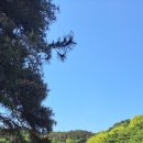 이레 스테이 이미지