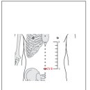 신궐(神厥)-CV8 이미지