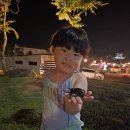 썬셋 | 태안 숙소 추천 청포대 썬셋 카라반 여행 후기