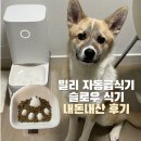밀리 자동급식기｜슬로우 식기 후기, 효과 총정리