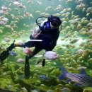 대전아쿠아리움 이미지