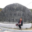 사랑의 소나기 이미지