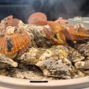 싱싱회관 이미지