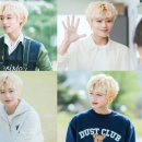 푸른스틸 이미지