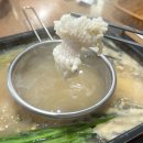 고흥장어나라 | 고흥맛집 여름철 보양식 별미 하모 샤브샤브 후기 안성장어나라