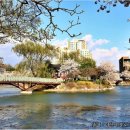 안흥유원지 이미지