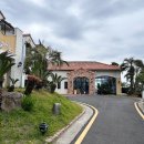 톨칸이 | 우도 훈데르트힐즈 리조트 런치 식당 추천, 카페 톨칸이