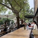 커피옵저버토리 | [6박7일 시드니 여행] 3일차 : 옵저버토리 힐, 야외수영장 그리고 야경까지 하루 코스 정리📝