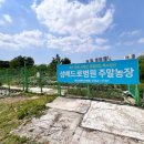 베드로 농장 | 의정부 성베드로 병원 주말농장