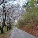 아라메길 (삼길나루길-등산로) 이미지