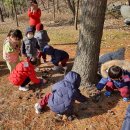 별샘어린이집 이미지