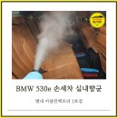 나은손세차 | 별내 스팀세차장 BMW 530e 손세차 후기