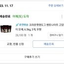 도그앤캣 | 먼지 없는 고양이 모래 추천 크라운캣앤도그 벤토나이트 모래 후기
