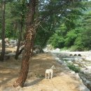 솔바람야영장 이미지