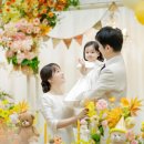제이드포토그라피 | 글리밍 스냅 ㅣ 이은그라피 ㅣ 디어달링스냅 ㅣ 제이드스냅 ㅣ 세이렌스냅 ㅣ 카이로피스냅 ) 돌스냅...