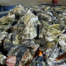 굴전여가캠핑장 이미지