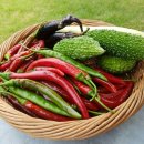 성불유치원 이미지