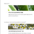 썬스크린 이미지