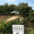 평장농장 이미지