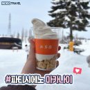일본 삿포로 비에이 후라노 원데이 버스투어 인디고트래블 꿀팁 내돈내산