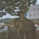 [순천기차여행2] 2박 3일 뚜벅이 순천 여행 코스,낙안읍성,최대감 별교꼬막,이레돈까스,오천그린광장