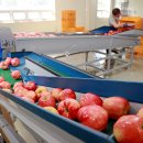 풍년밥상 이미지