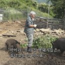 금옥농장 이미지