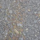 대영한우실비 이미지