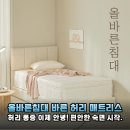 허리 건강 지키는 올바른 침대 바른 허리 매트리스 SS 솔직 후기