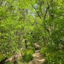 손동현내과의원 이미지