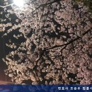 변호사조승우법률사무소
