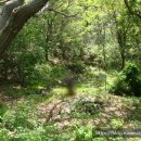 화악샘터 이미지