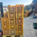 황소네집 이미지