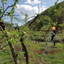 눈비산마을 공동체농장 이미지