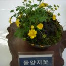 동의중학교 이미지