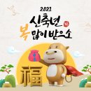 TNT모터스 이미지