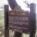 점촌중앙초등학교 이미지