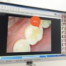 123치과교정과치과의원 이미지